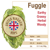 Fuggle (UK) Hops